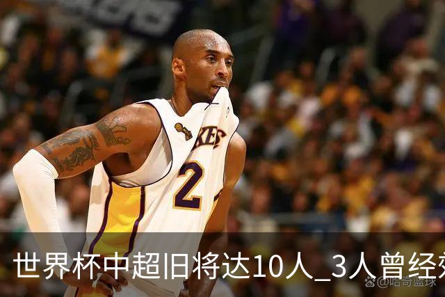 世界杯中超旧将达10人 3人曾经效力国安海港两将